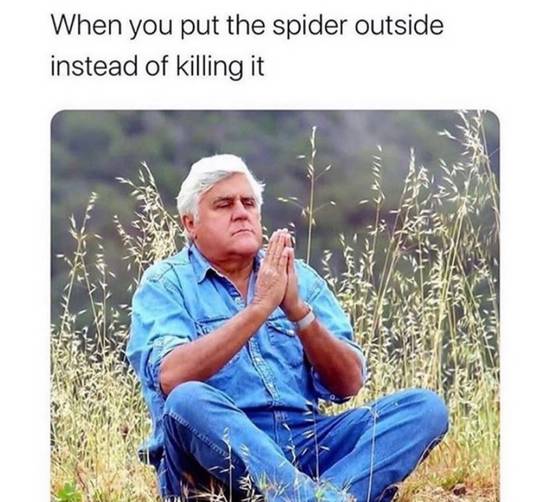 absolutelynotme_irl