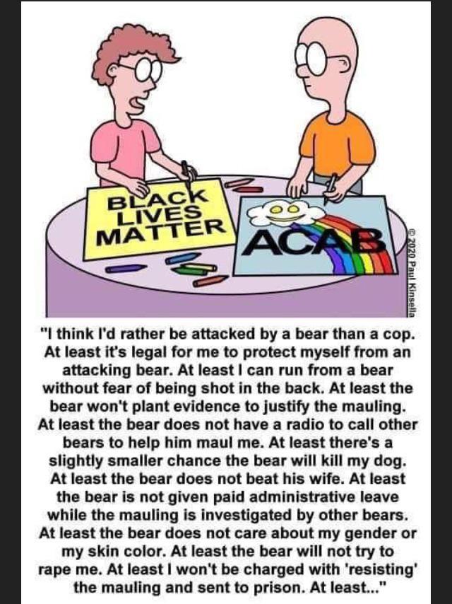 aCaB bLm cops bad