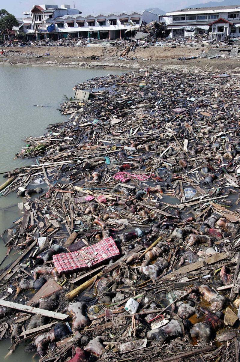 Aftermath of the 2004 Indian Ocean Earthquake and Tsunami [NSFL - dozens of bodies visible][800x1207]