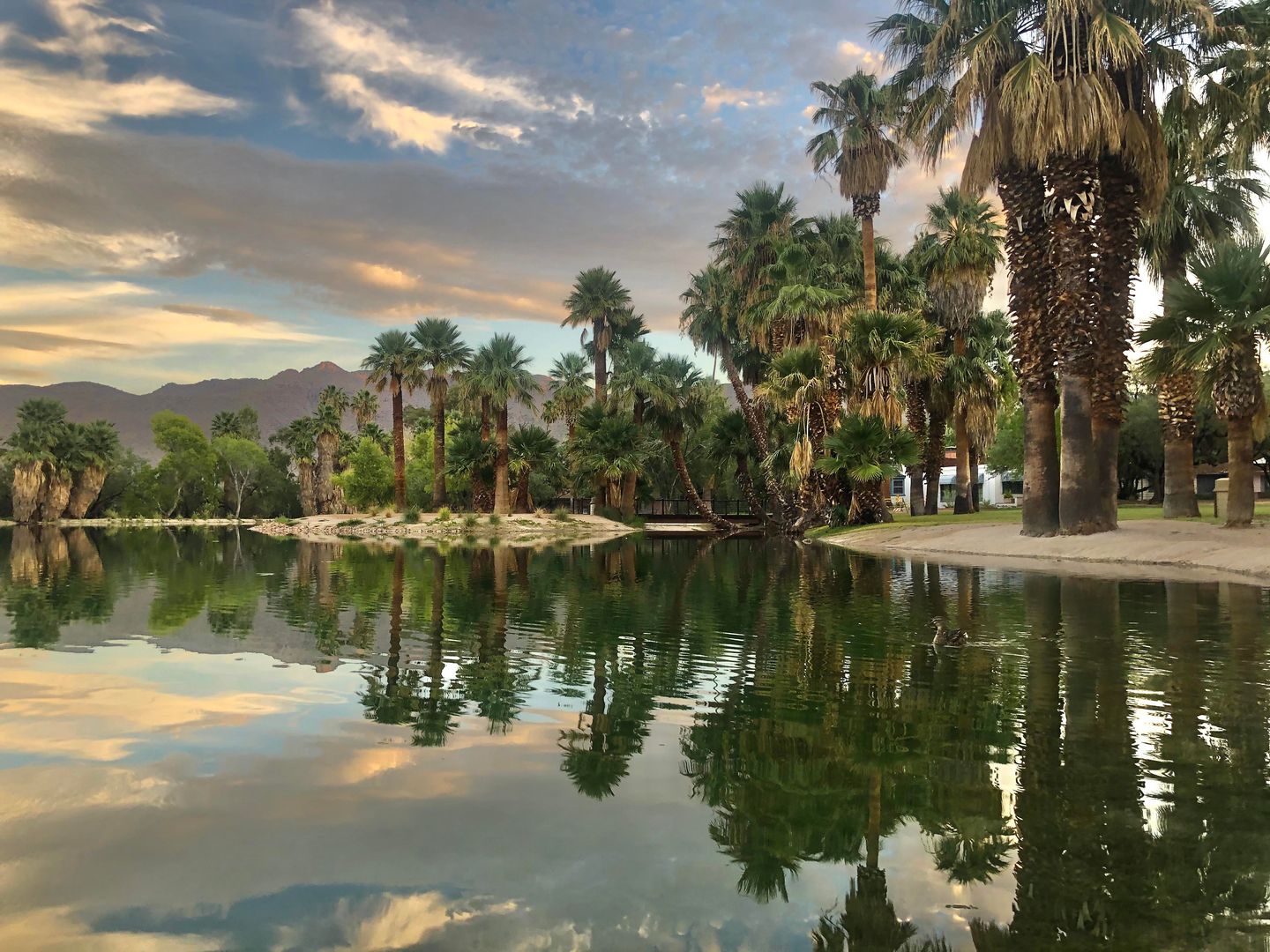 Agua Caliente Park