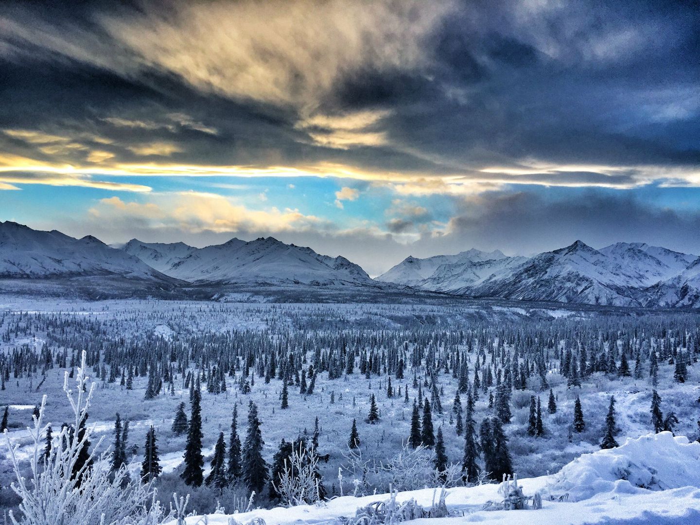 Alaskan Wilderness