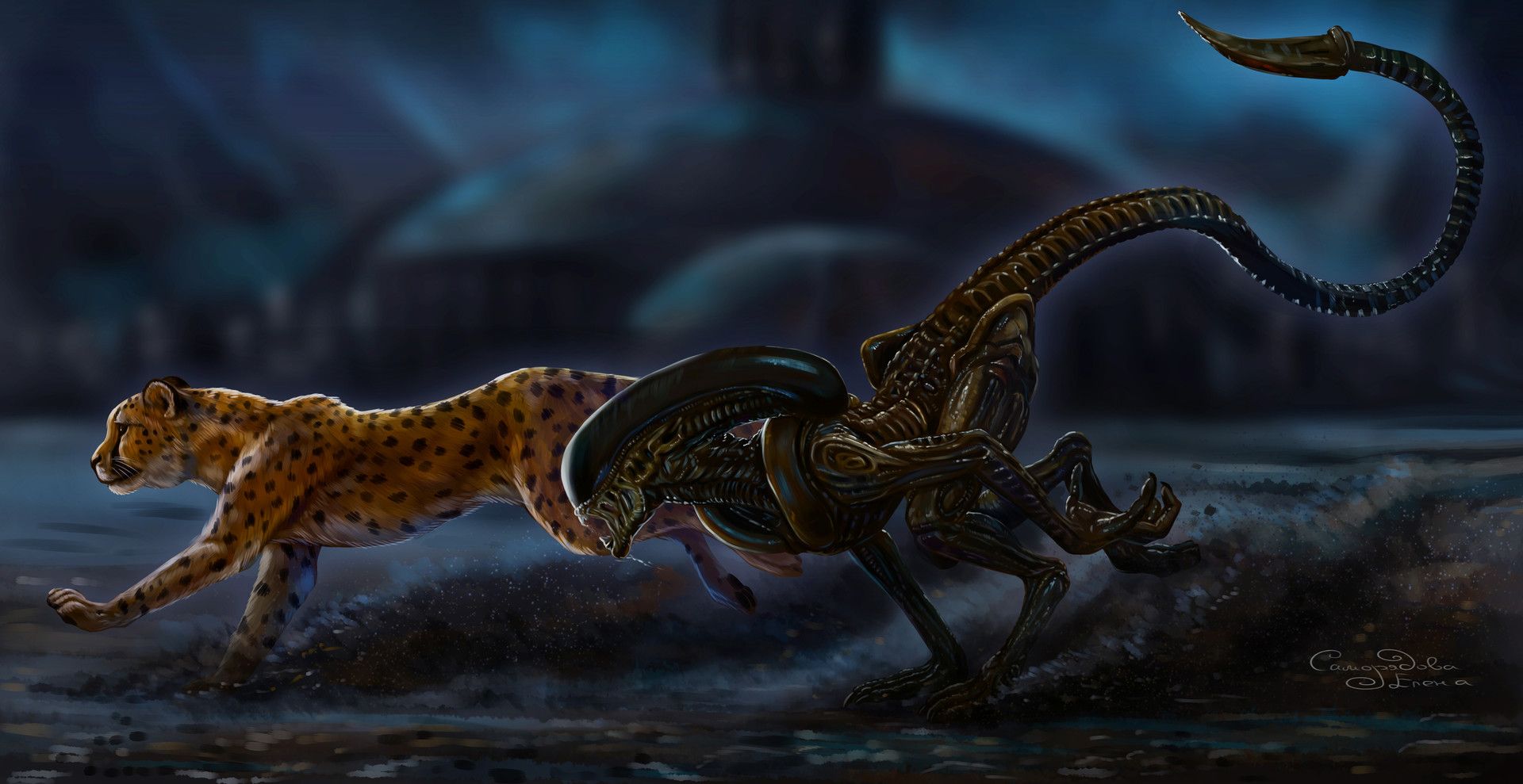 Alien and Cheetah by Elena Samorjadova