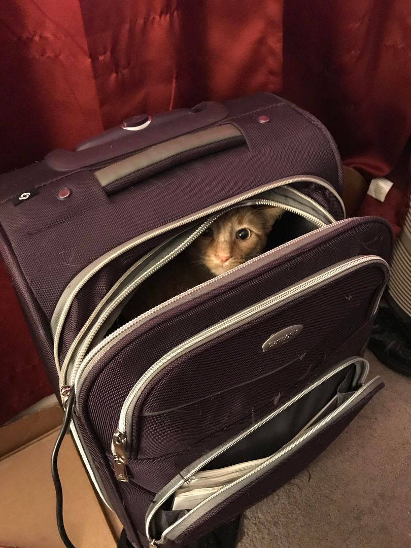 All packed and ready to ... wait a second.