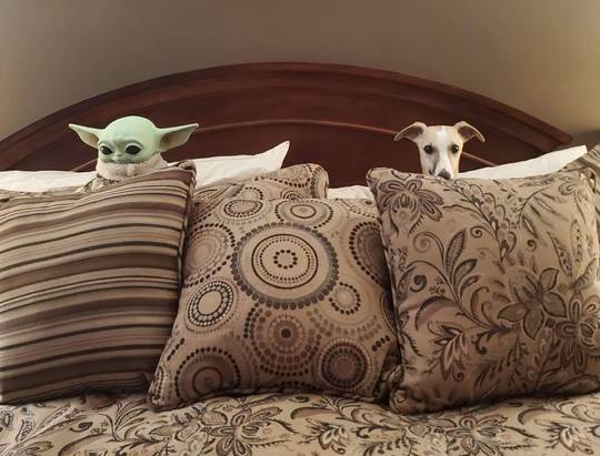 Always watching... waiting...