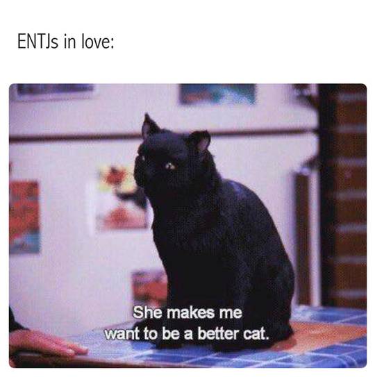 Amazon 'Self Improvement' section here I come!