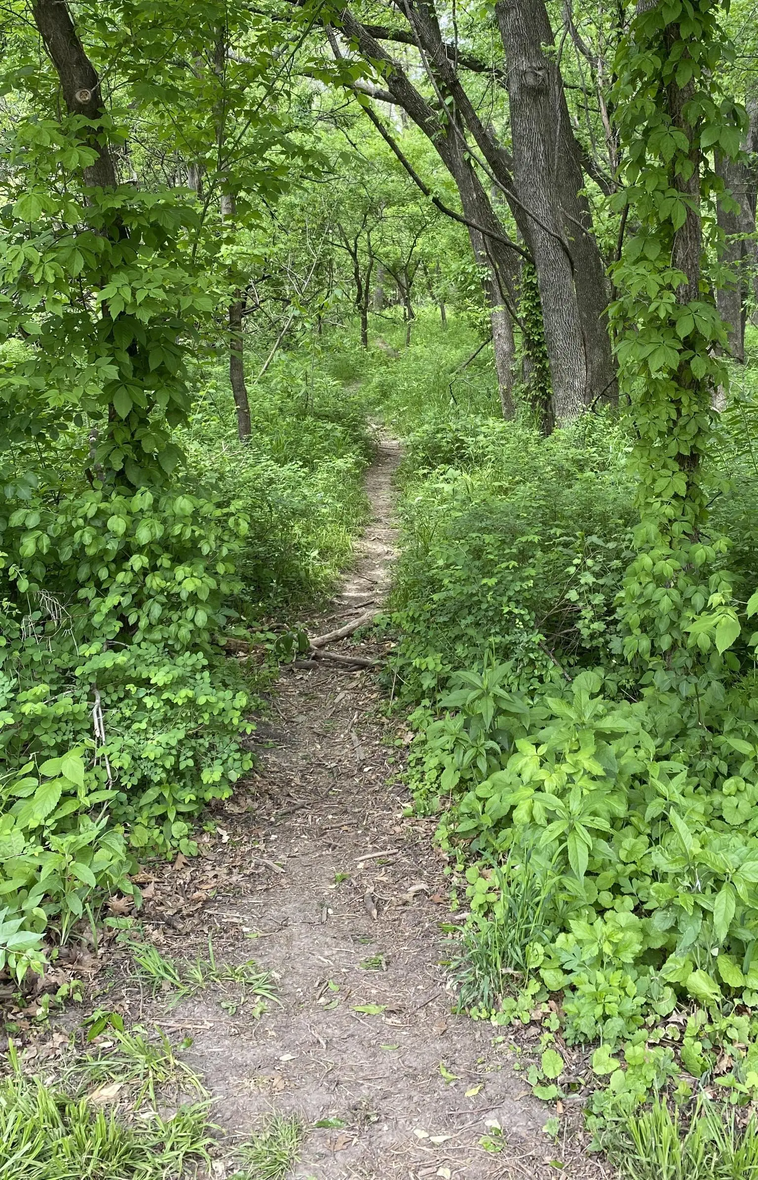 Walk Off Path An old fashioned walking path off a paved walking path. | Scrolller