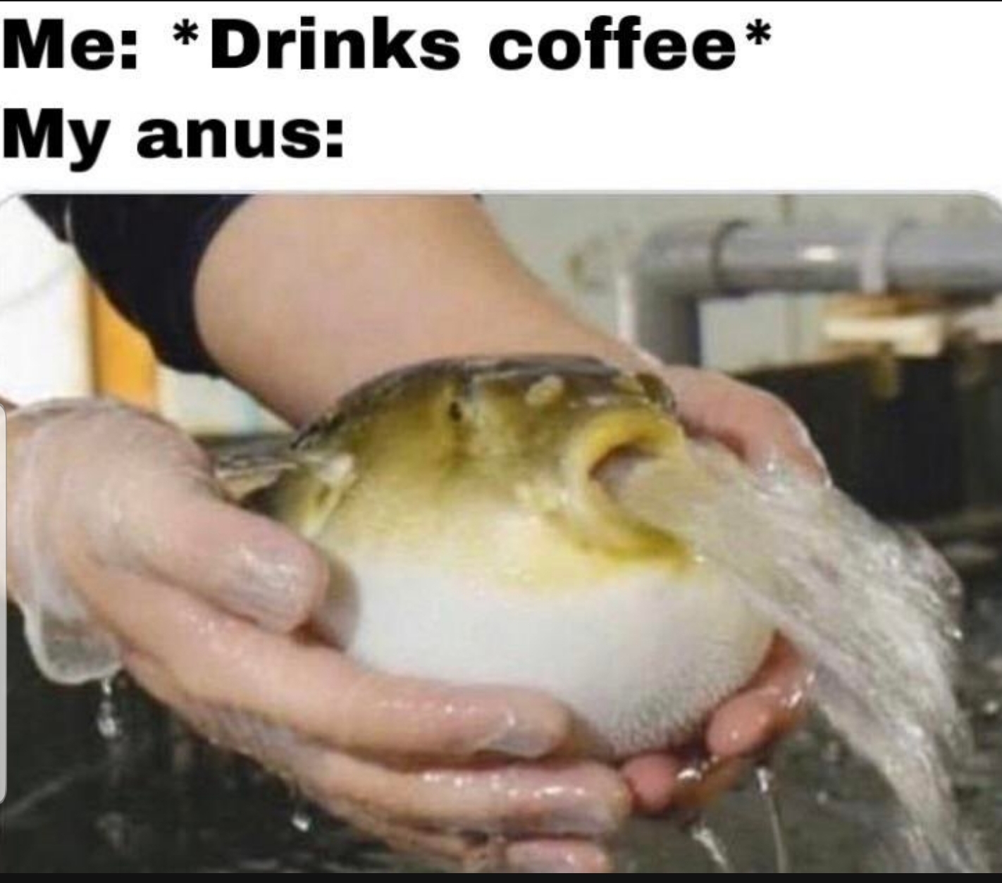 Anal leakage to the extreme | Scrolller