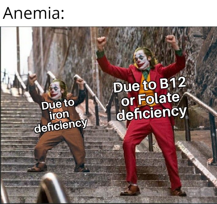 Anemias be like: [Meme] | Scrolller