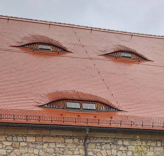 Creepy ass face looking windows in this roof...