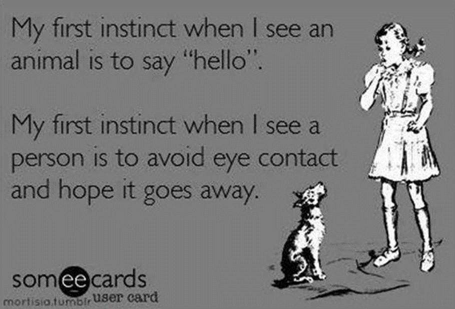 Animal v People. Yep, this is me too!