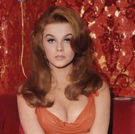Ann Margaret | Scrolller
