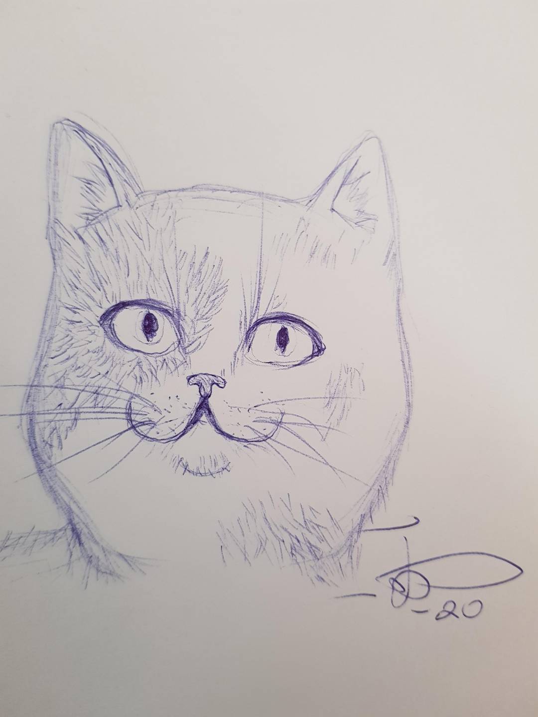 Another cat that i drew