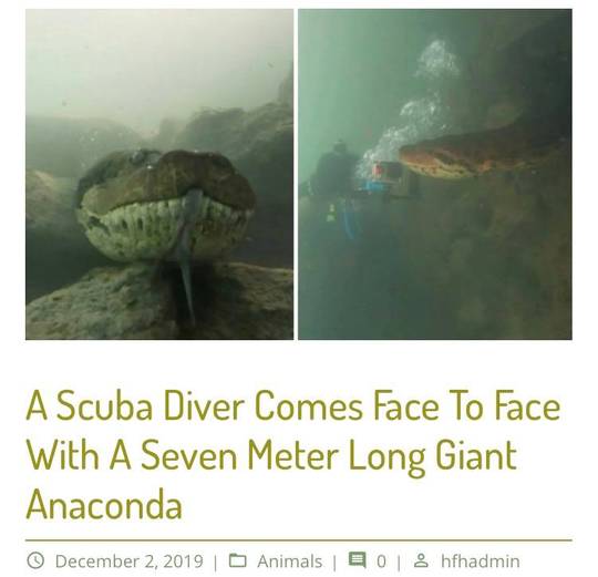 Another reason to stay out of water
