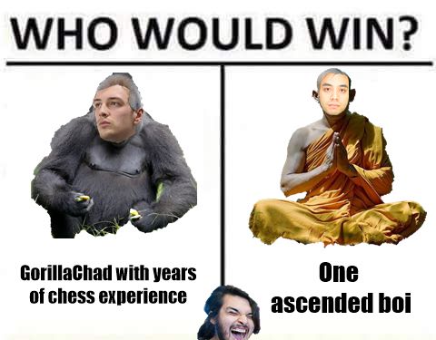 another tournament arc meme | Scrolller