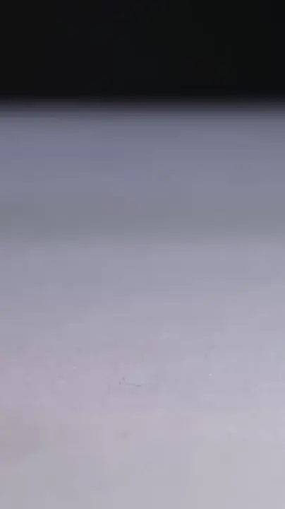 Ant drinking red nectar from finger