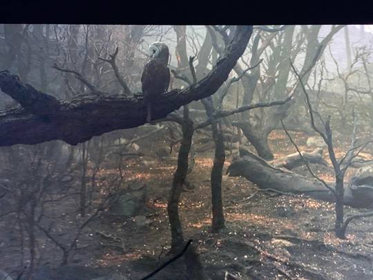 Anyone catch this?!!!