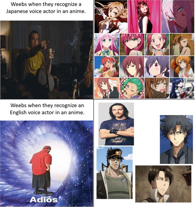 Anyone hate the “dub’s use the same voice actors” complaint like I do? 