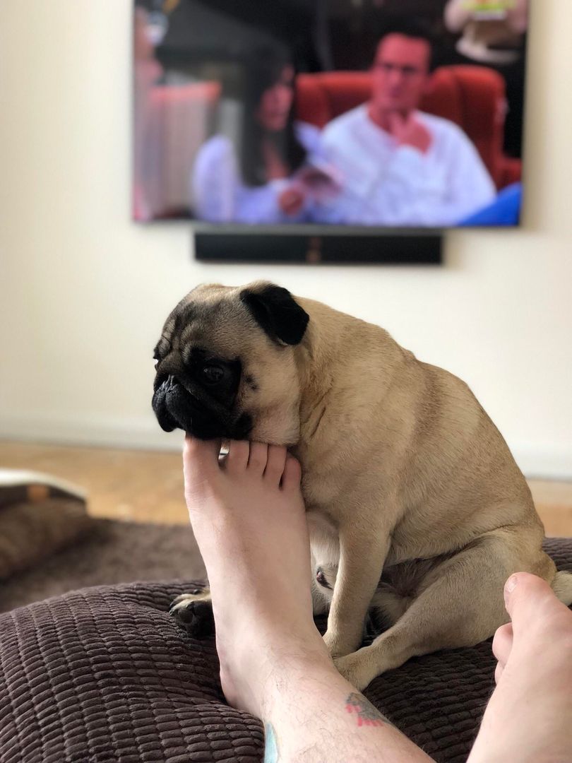 Anything is a headrest.