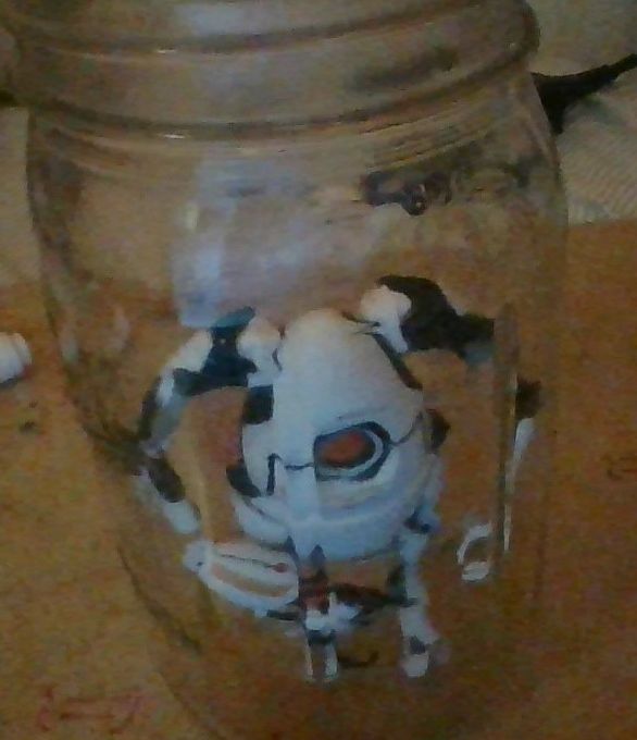 Aperture Science Cleansing Gel Testing Initiative