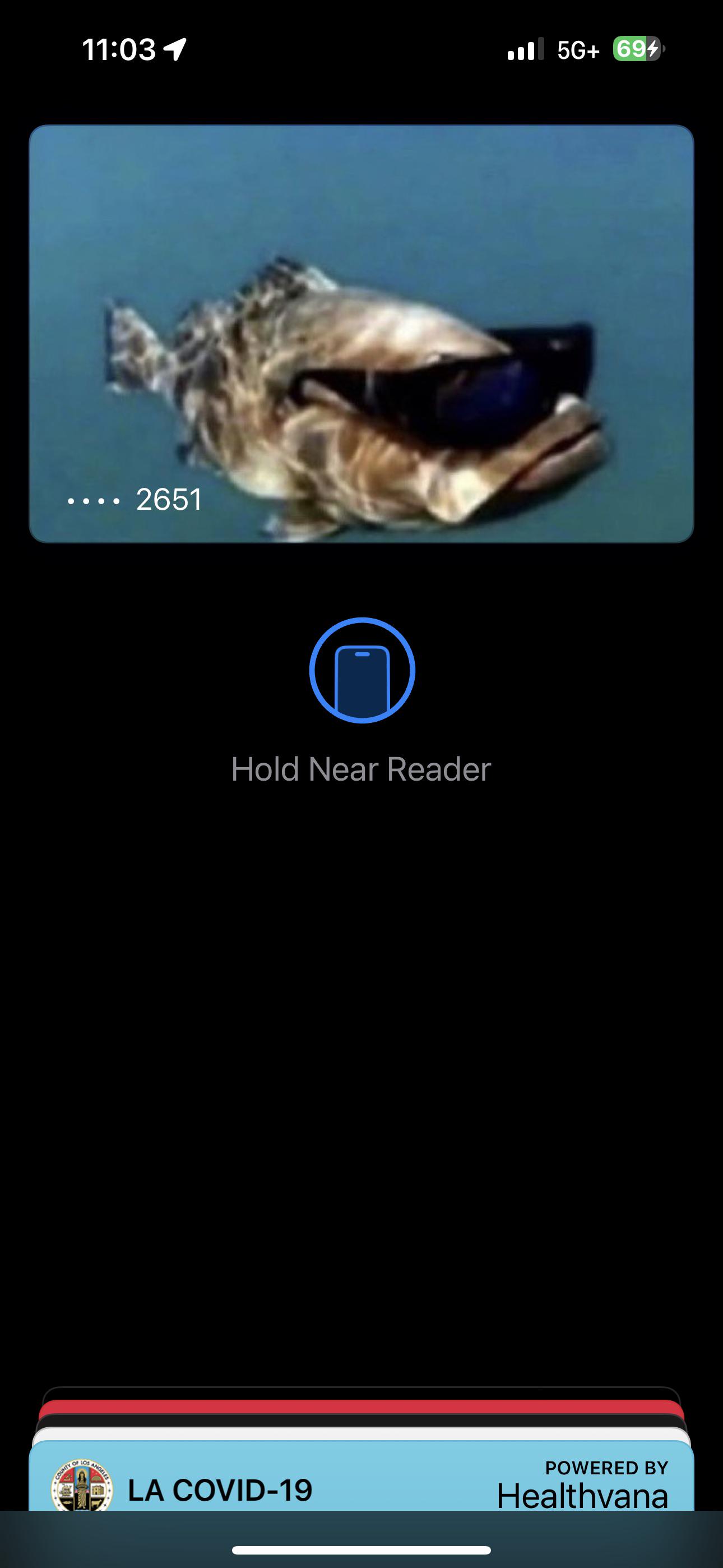 Apple Pay background