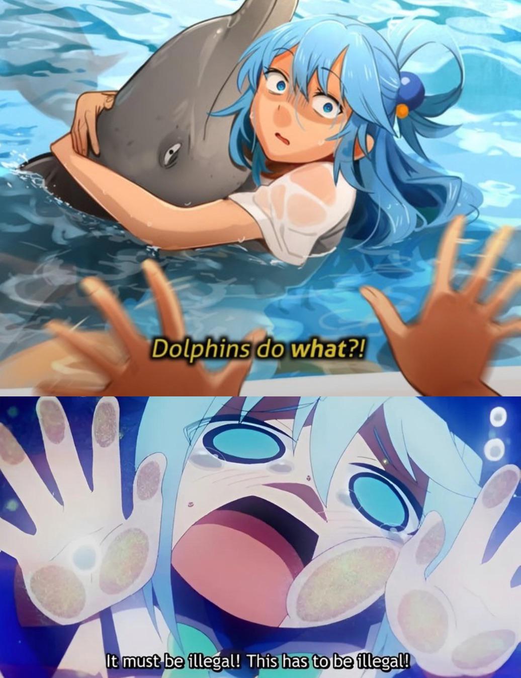 AQUA NOOOO