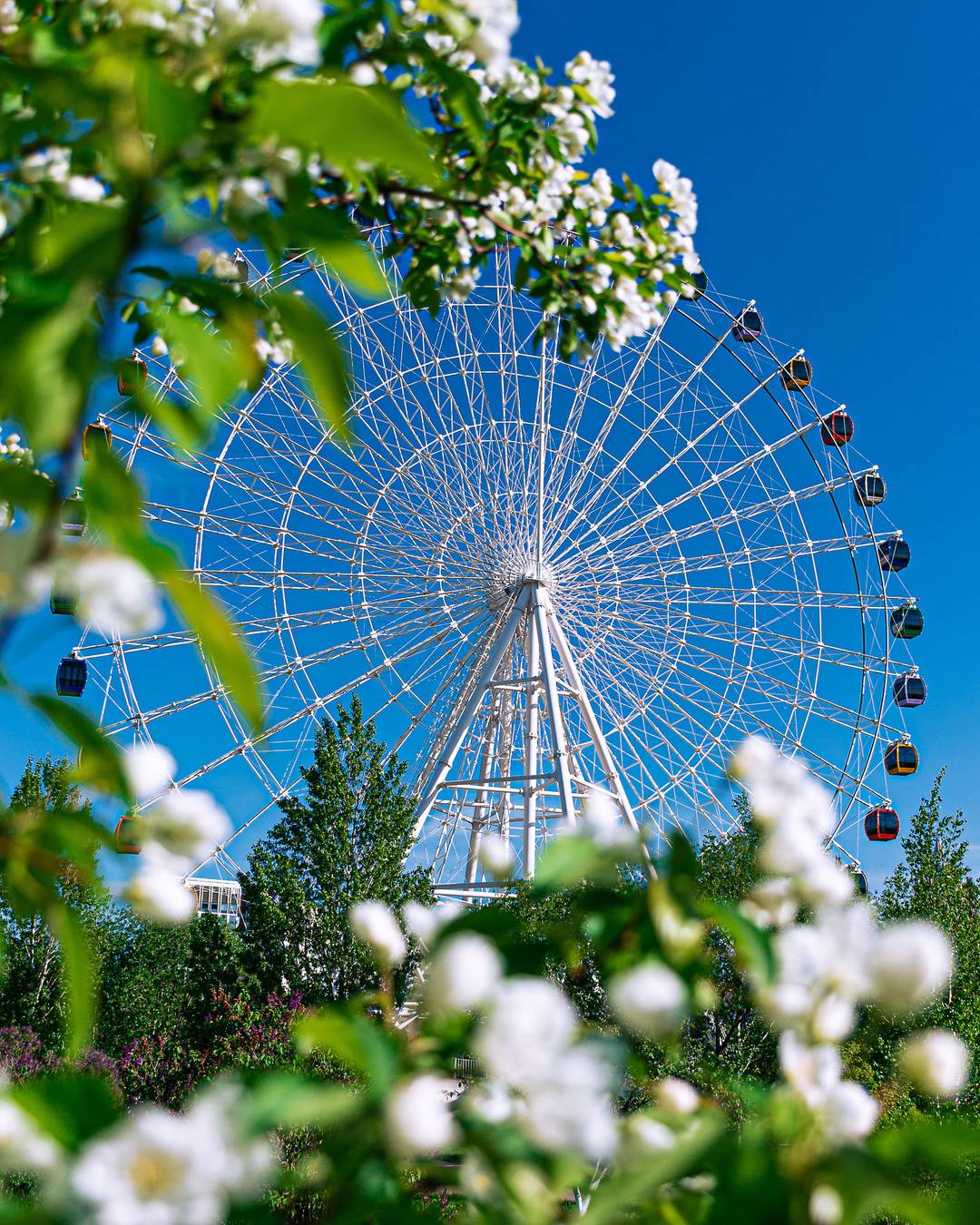 Astana is blooming