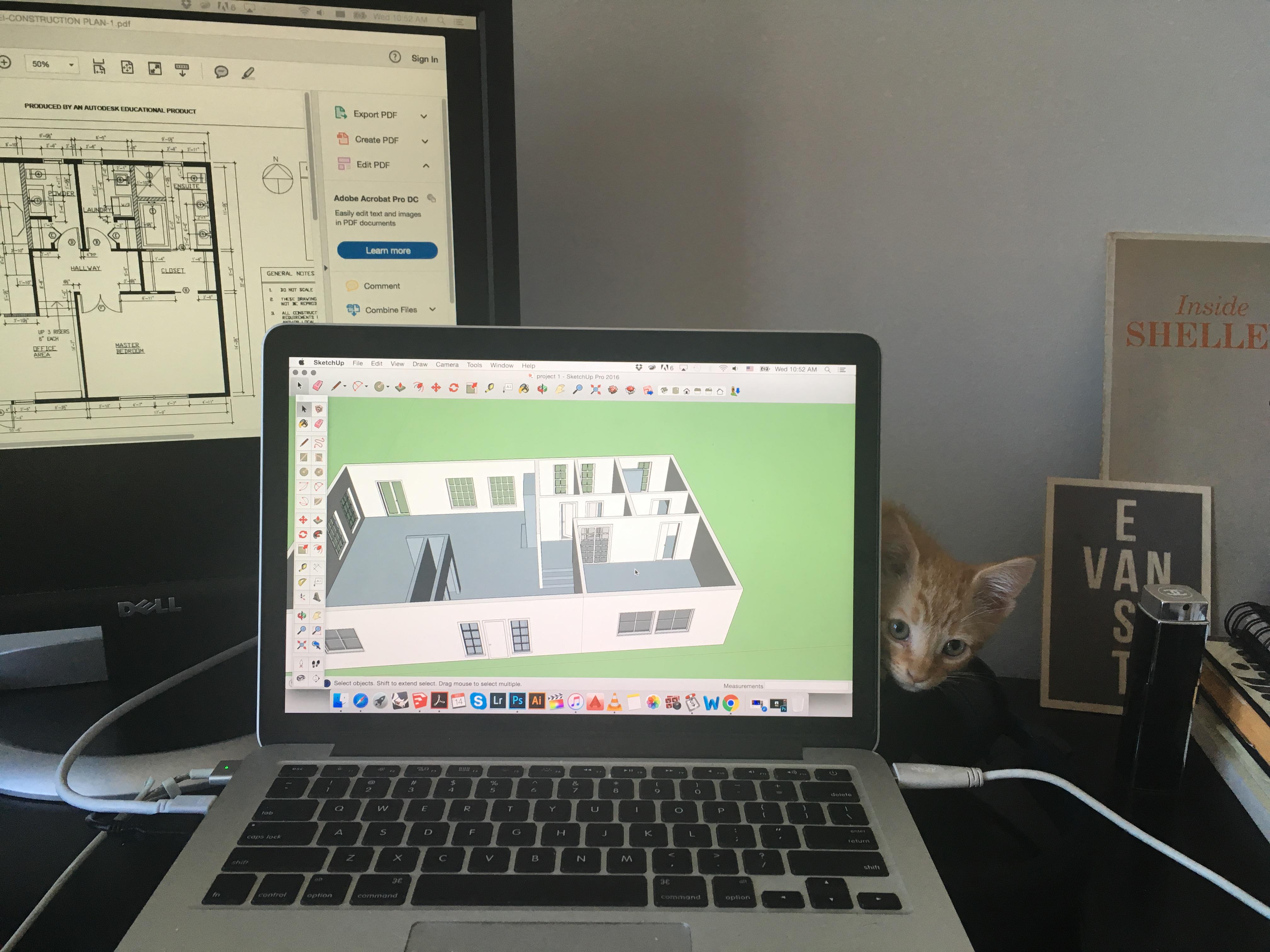 AutoCat | Scrolller