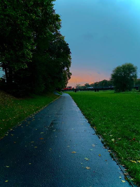 Autumn 🍁