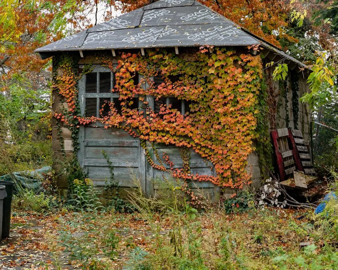 Autumn Engulfed Shack In Salem [OC] | Scrolller