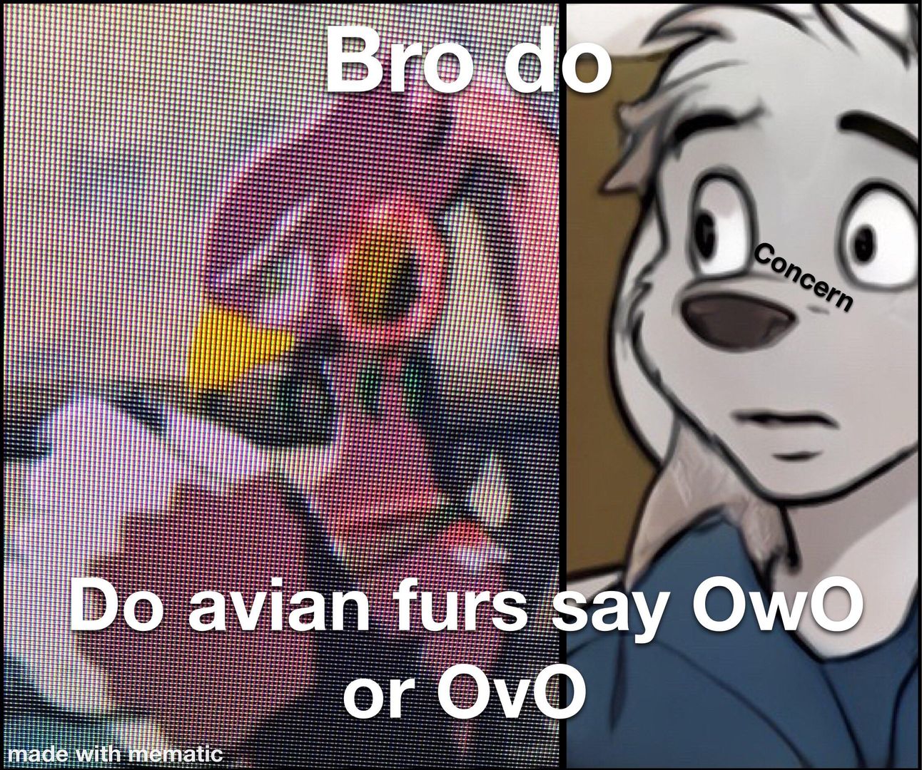 Avians?
