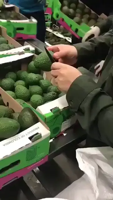 Avocados containing cocaine 