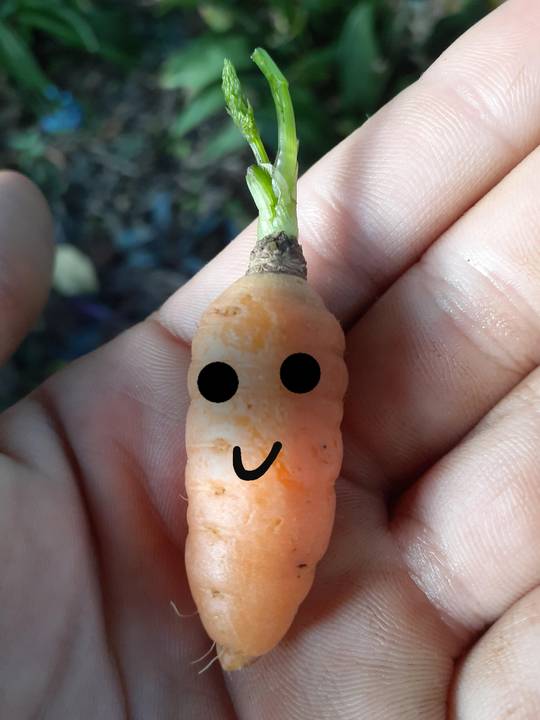 Baby Cawot :)
