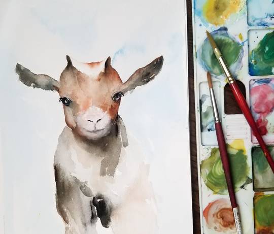 "Baby goat", watercolour, 8x10