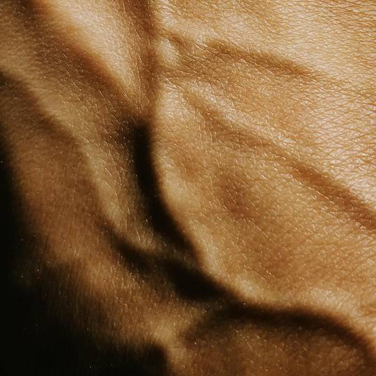 Back side | iPhone SE