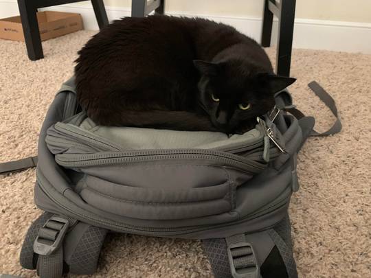 Backpack Trap.