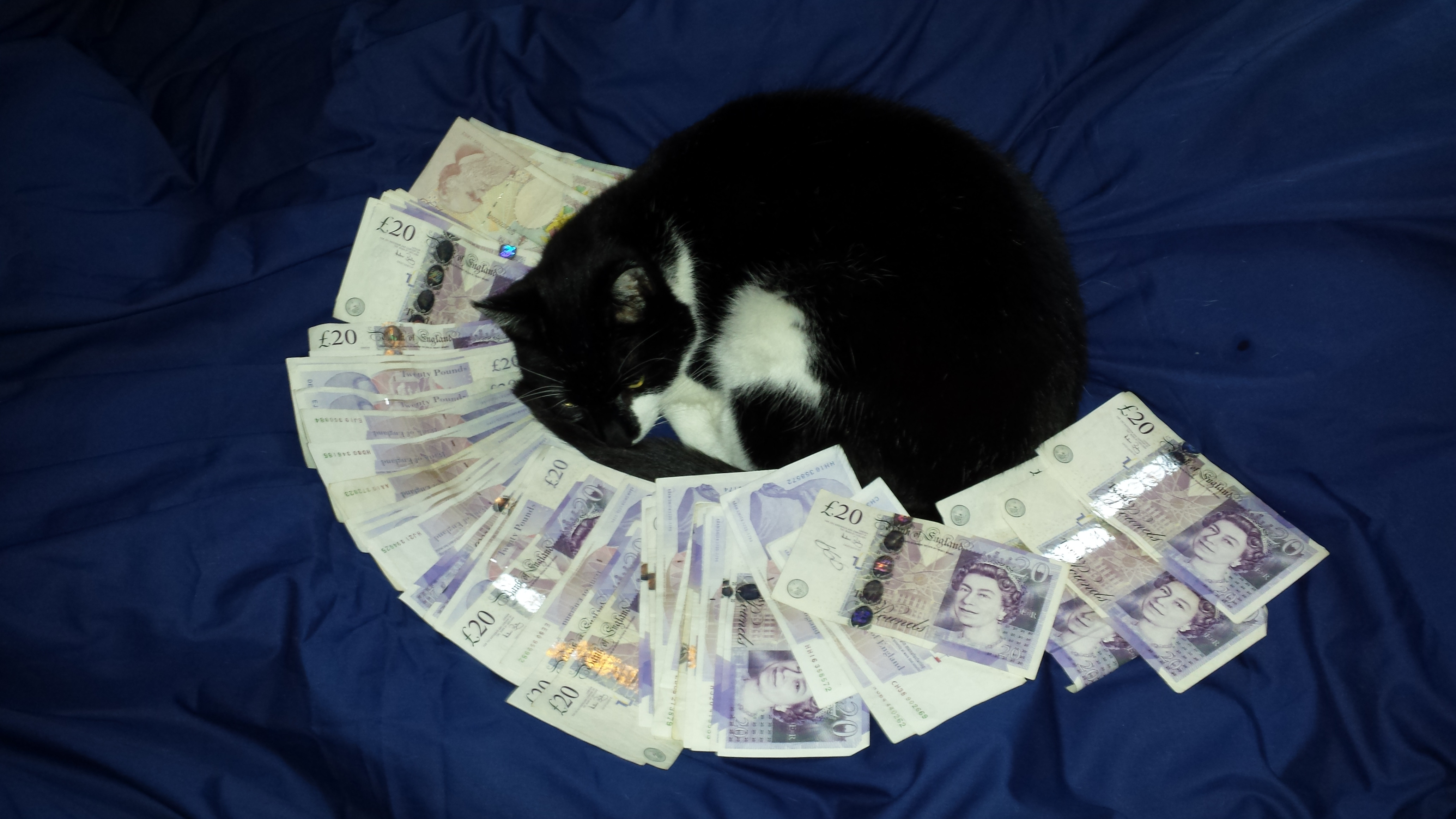 Bae Caught Me Sleeping Scrolller