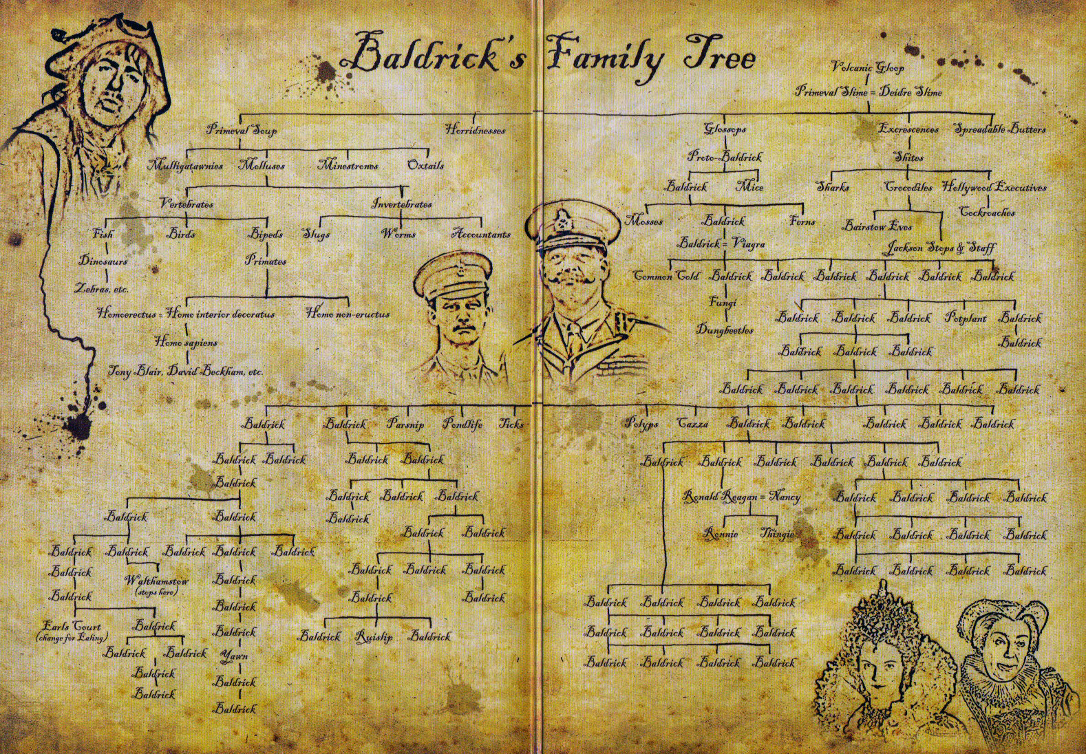 Baldrick s Family Tree from The DVD Set Scrolller Baldrick s Family Tree from The DVD Set Scrolller