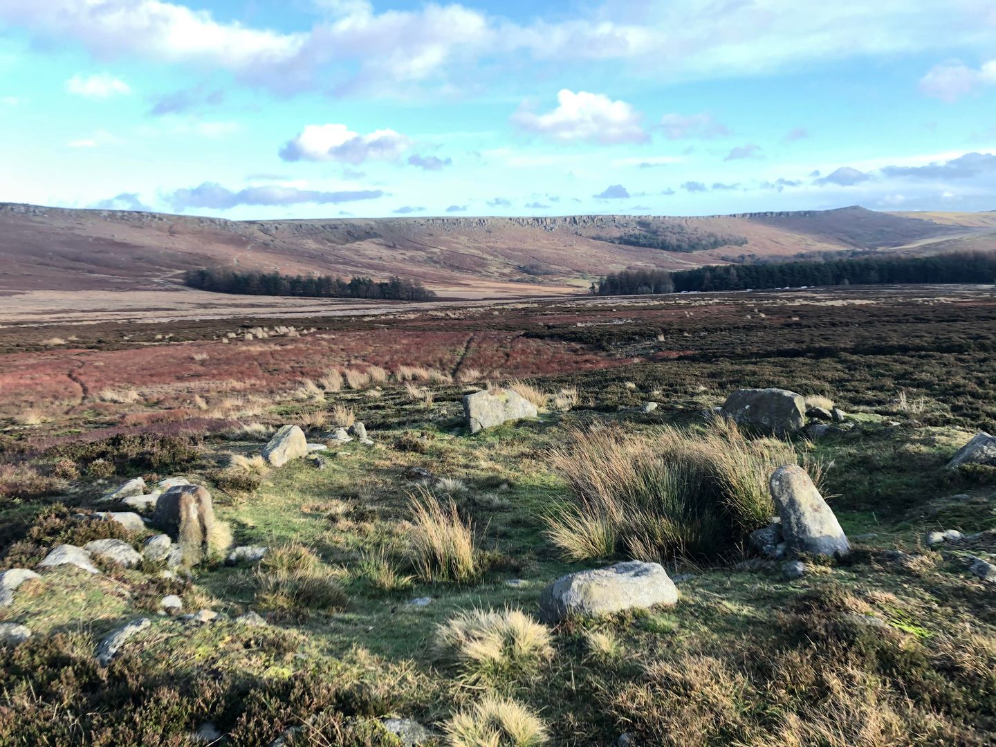 Bamford Moor South stone circle, Hathersage, Peak District, Derbyshire [OC]
