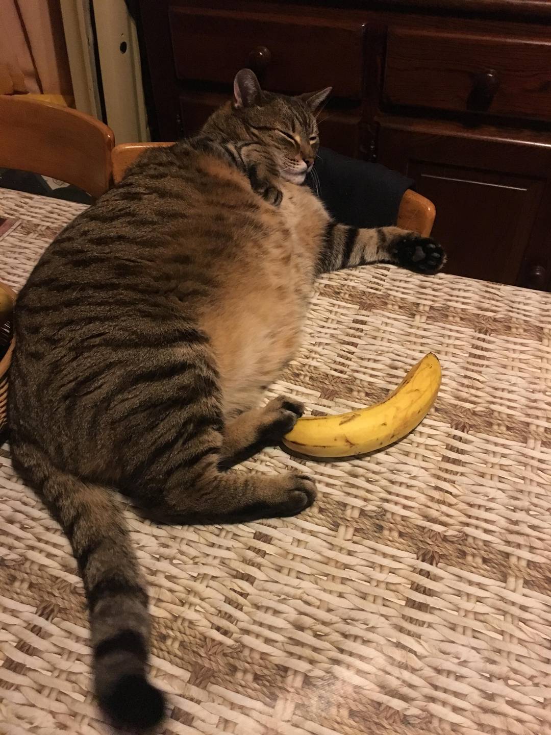 Banana for scale