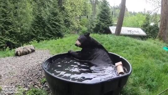 Bare necessities