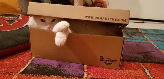 Barry is just chillin :p