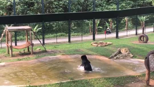 Playing in the water