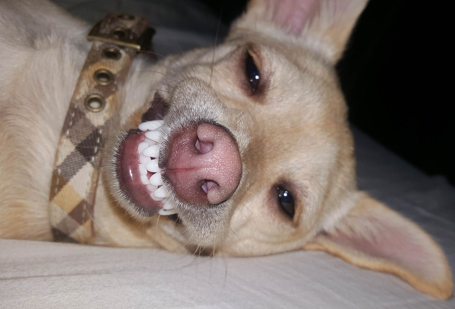 Beaux tries to be seductive