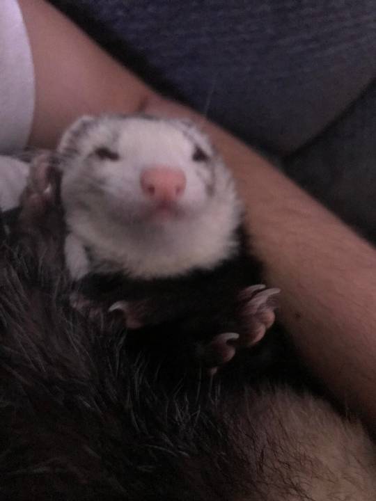 Before I went to school today, my little girl made a new face today