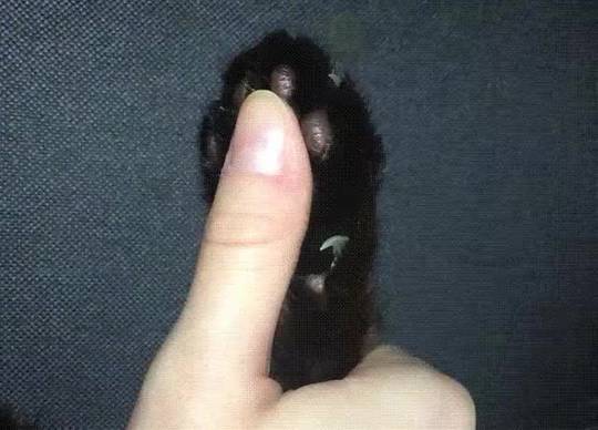 Behind every toe bean...