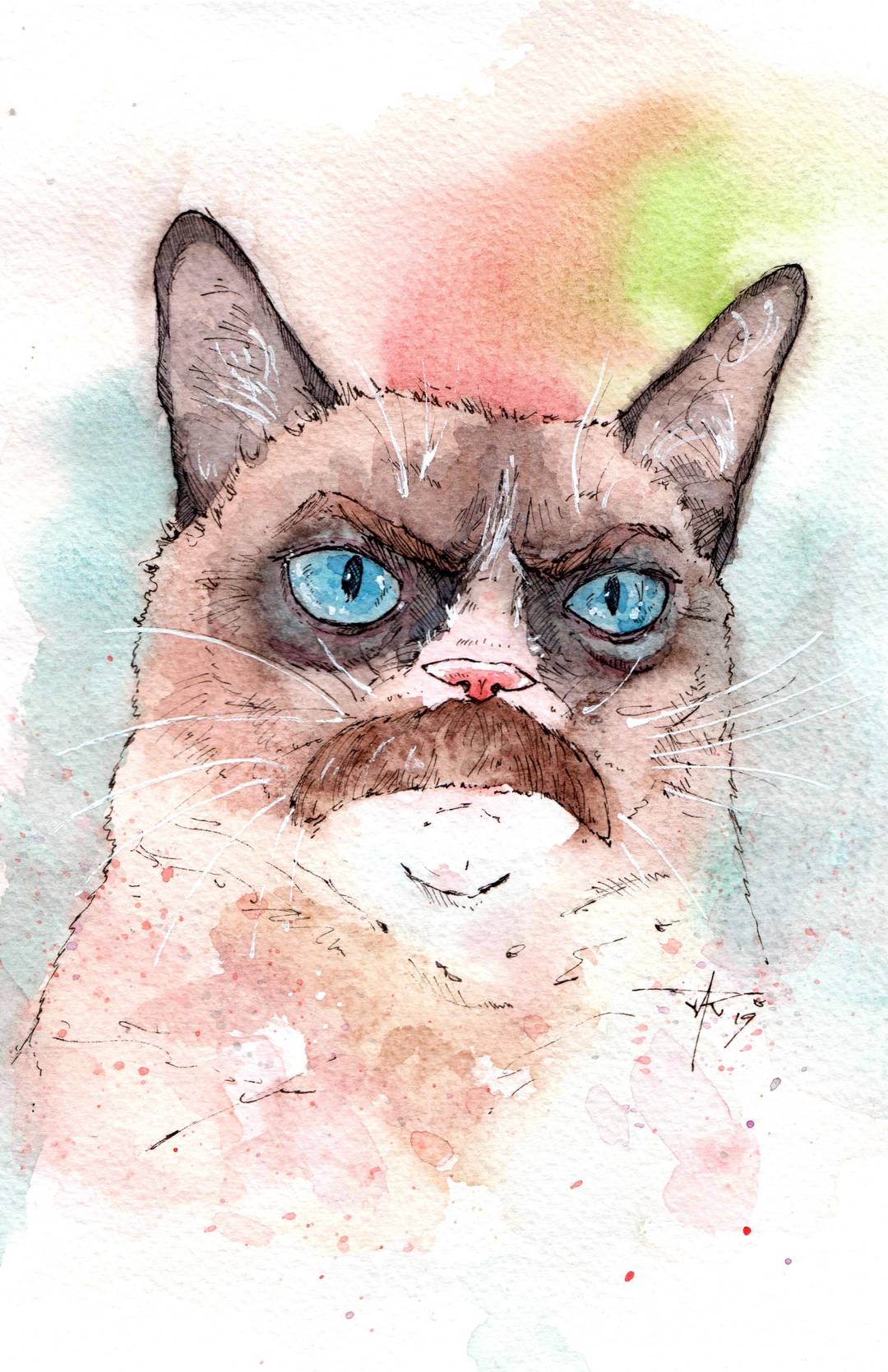 BEHOLD, RON SWANSON CAT
