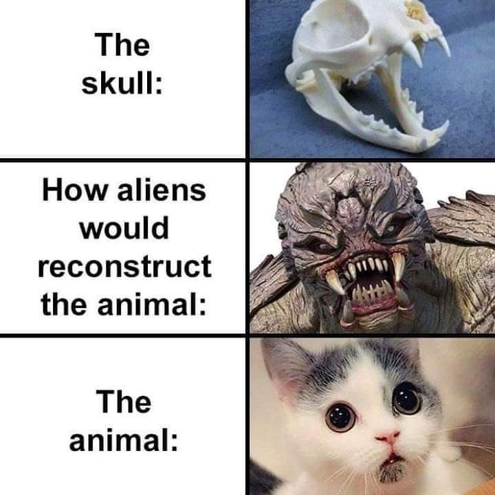 Best creation by GOD