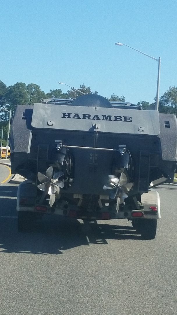 Best looking boat I've ever seen.