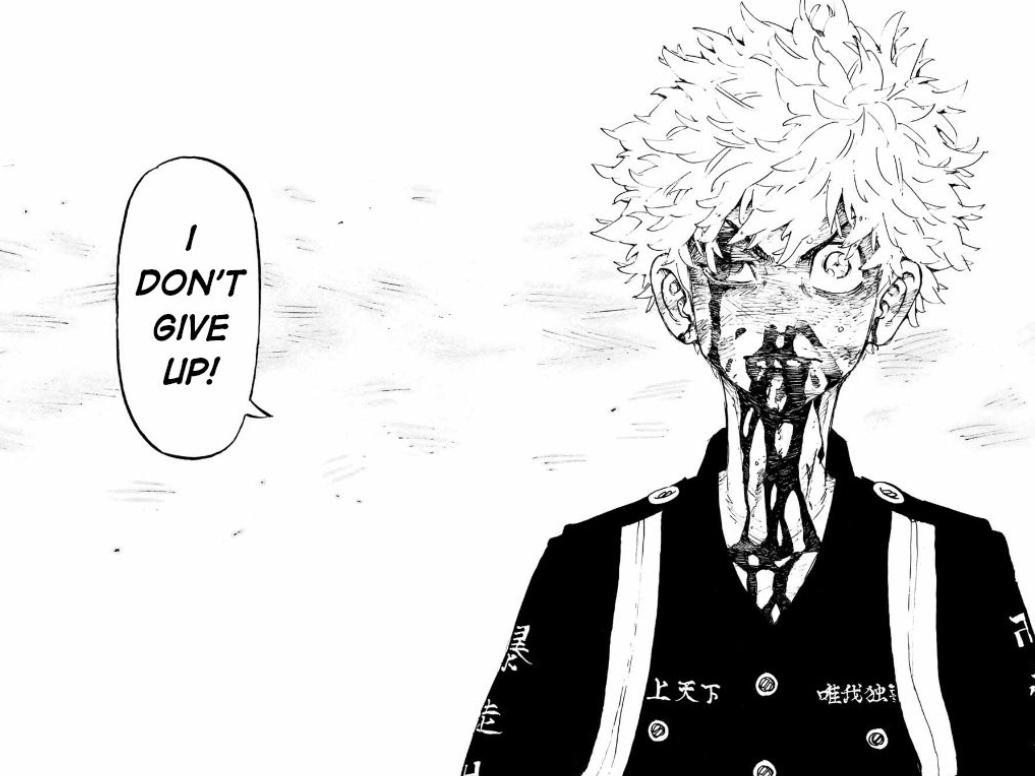 Best pannel IMO