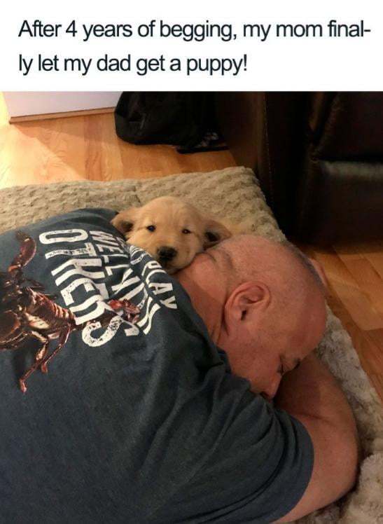 Best thing I've seen today.